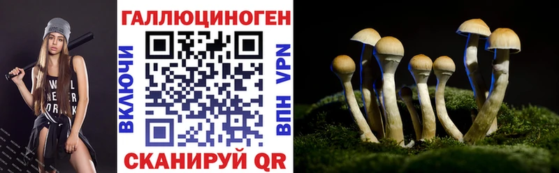 Галлюциногенные грибы Psilocybe Шагонар