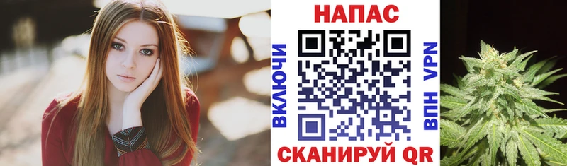 МАРИХУАНА гибрид  Шагонар 